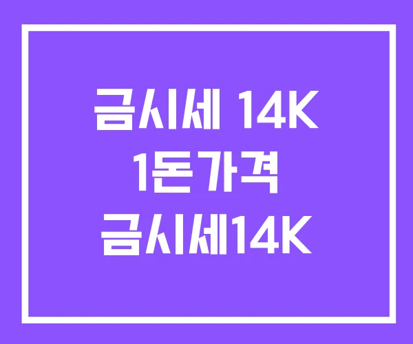 금시세 14K 1돈가격 금시세14K