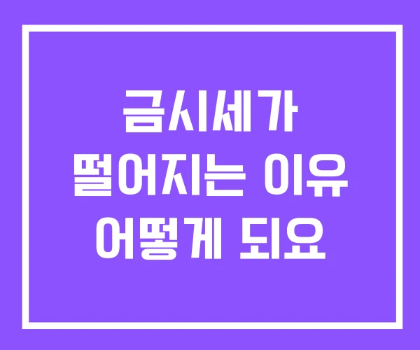 금시세가 떨어지는 이유 어떻게 되요