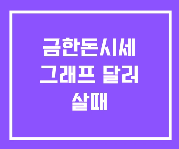 금한돈시세 그래프 달러 살때 금한돈시세 그래프 달러 살때