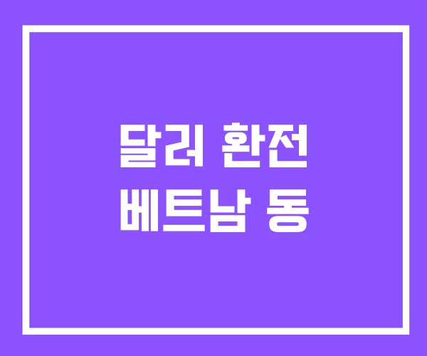 달러 환전 베트남 동