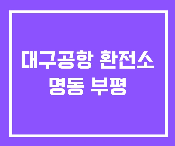 대구공항 환전소 명동 부평