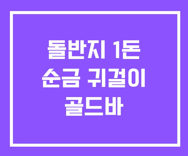 돌반지 1돈 순금 귀걸이 골드바
