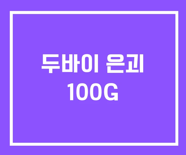 두바이 은괴 100G