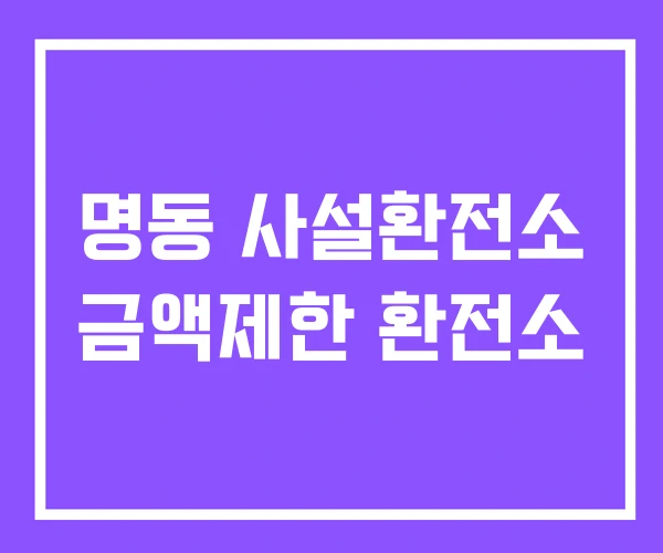 명동 사설환전소 금액제한 환전소