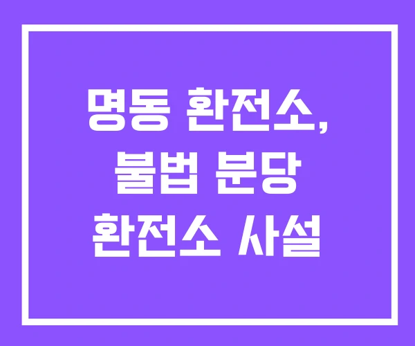 명동 환전소, 불법 분당 환전소 사설