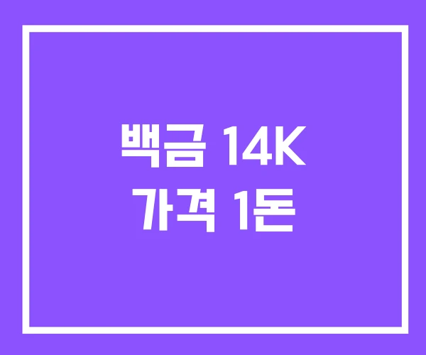 백금 14K 가격 1돈