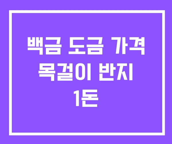 백금 도금 가격 목걸이 반지 1돈