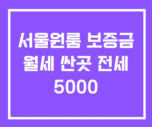 서울원룸 보증금 월세 싼곳 전세 5000 서울원룸 보증금 월세 싼곳 전세 5000