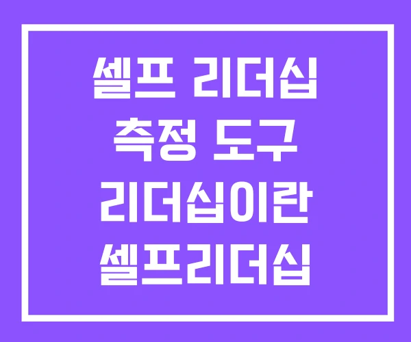 셀프 리더십 측정 도구 리더십이란 셀프리더십 심리코칭