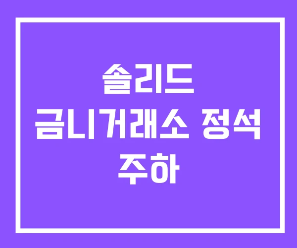솔리드 금니거래소 정석 주하 솔리드 금니거래소 정석 주하