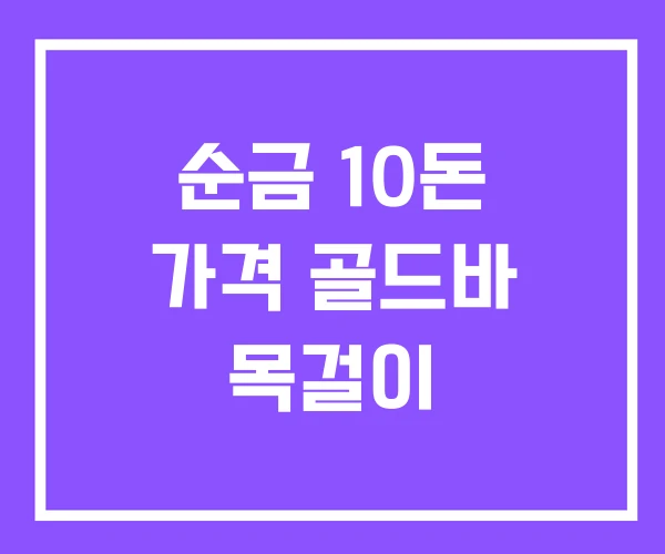 순금 10돈 가격 골드바 목걸이 순금 10돈 가격 골드바 목걸이