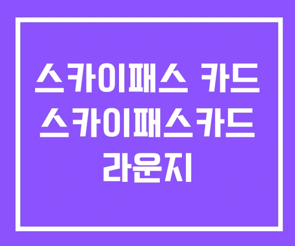 스카이패스 카드 스카이패스카드 라운지 스카이패스 카드 스카이패스카드 라운지