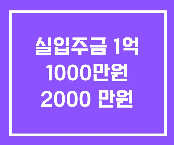 실입주금 1억 1000만원 2000 만원