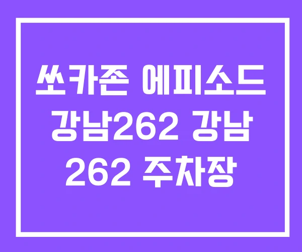 쏘카존 에피소드 강남262 강남 262 주차장 쏘카존 에피소드 강남262 강남 262 주차장
