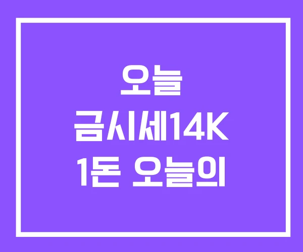 오늘 금시세14K 1돈 오늘의