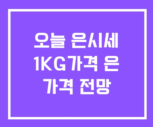 오늘 은시세 1KG가격 은 가격 전망