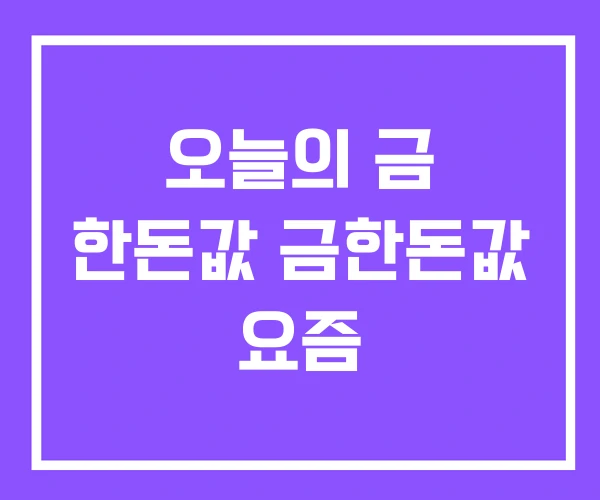 오늘의 금 한돈값 금한돈값 요즘 오늘의 금 한돈값 금한돈값 요즘