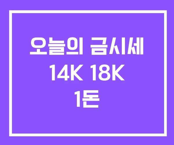오늘의 금시세 14K 18K 1돈