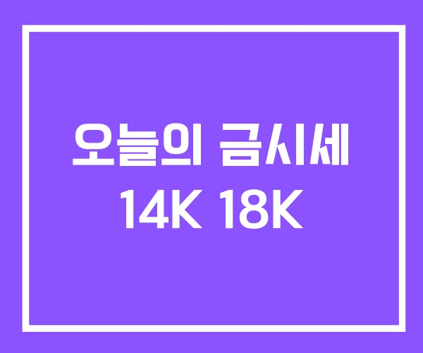 오늘의 금시세 14K 18K 오늘의 금시세 14K 18K