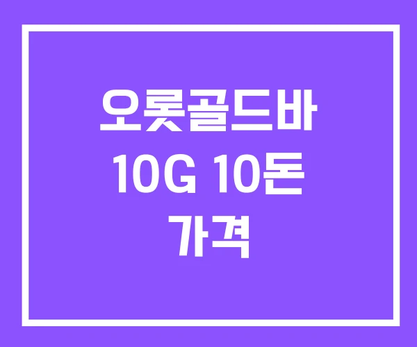 오롯골드바 10G 10돈 가격