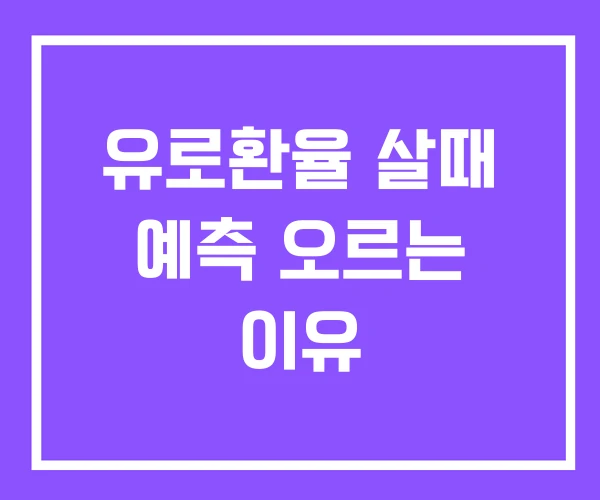 유로환율 살때 예측 오르는 이유