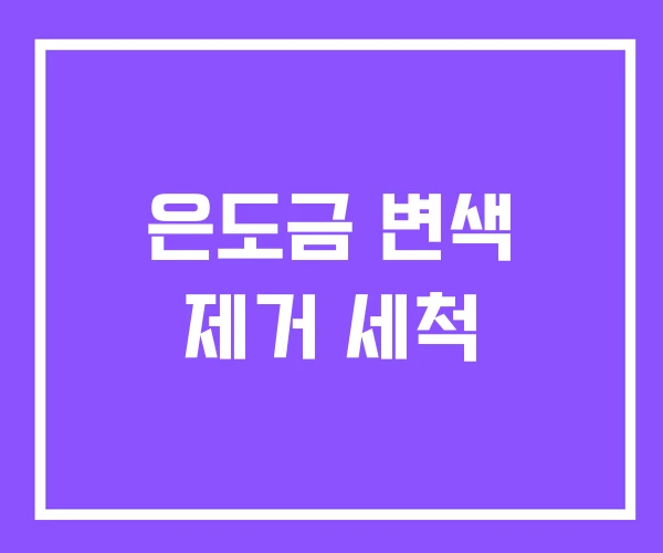 은도금 변색 제거 세척