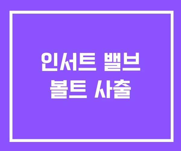 인서트 밸브 볼트 사출