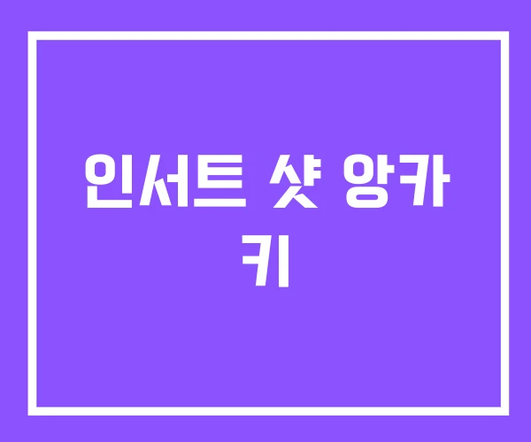 인서트 샷 앙카 키