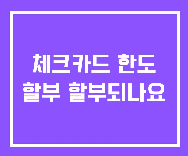 체크카드 한도 할부 할부되나요