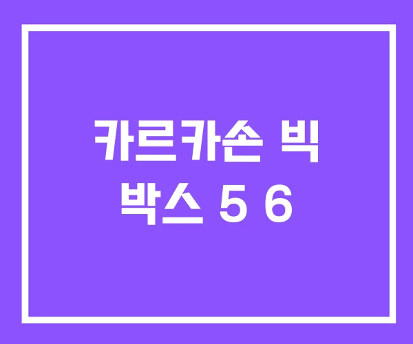 카르카손 빅 박스 5 6 카르카손 빅 박스 5 6