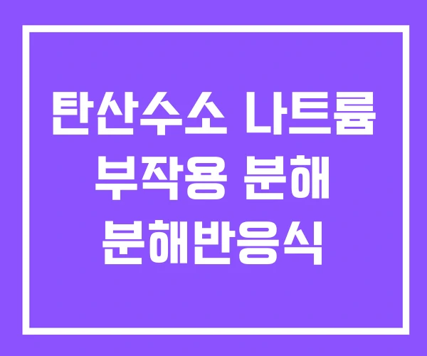 탄산수소 나트륨 부작용 분해 분해반응식 탄산수소 나트륨 부작용 분해 분해반응식