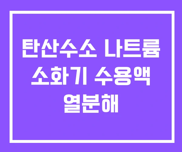 탄산수소 나트륨 소화기 수용액 열분해 탄산수소 나트륨 소화기 수용액 열분해