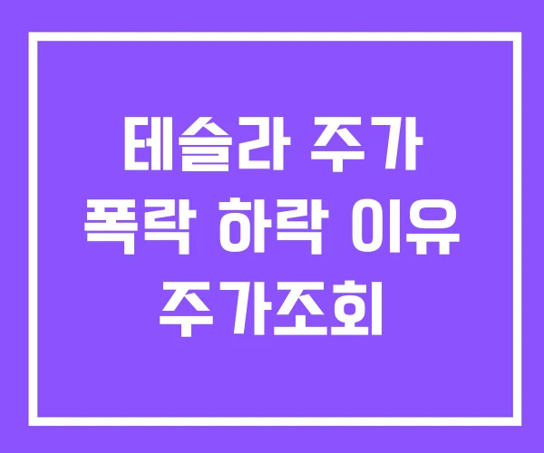 테슬라 주가 폭락 하락 이유 주가조회