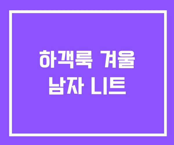 하객룩 겨울 남자 니트