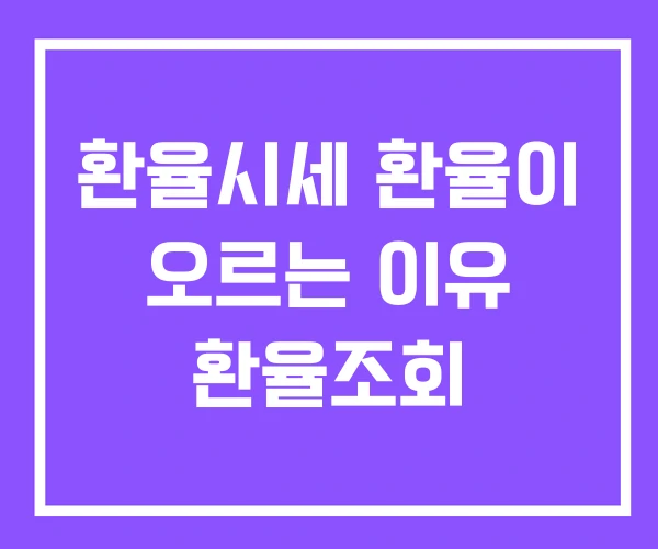 환율시세 환율이 오르는 이유 환율조회 환율시세 환율이 오르는 이유 환율조회