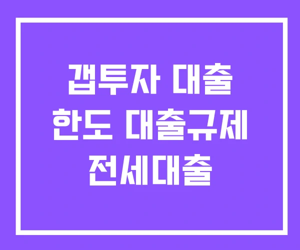 갭투자 대출 한도 대출규제 전세대출 갭투자 대출 한도 대출규제 전세대출