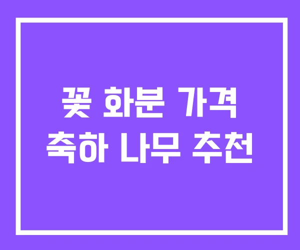 꽃 화분 가격 축하 나무 추천