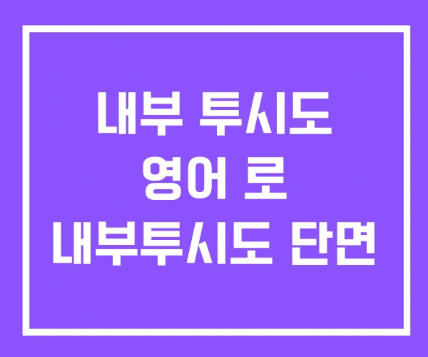 내부 투시도 영어 로 내부투시도 단면