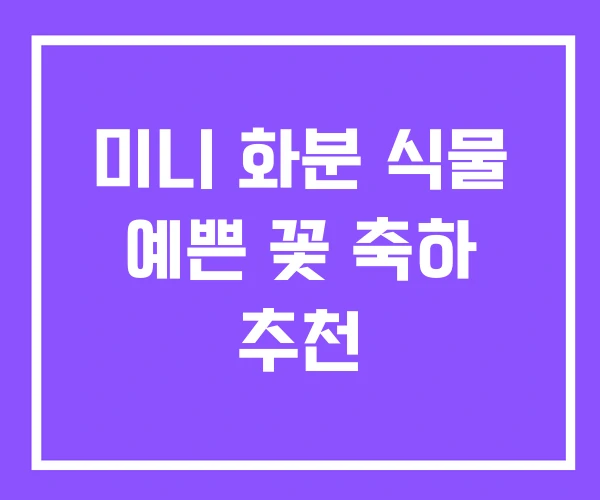 미니 화분 식물 예쁜 꽃 축하 추천