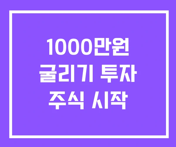 1000만원 굴리기 투자 주식 시작