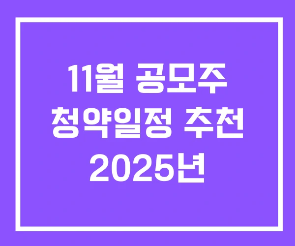11월 공모주 청약일정 추천 2025년 11월 공모주 청약일정 추천 2025년