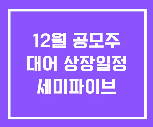 12월 공모주 대어 상장일정 세미파이브