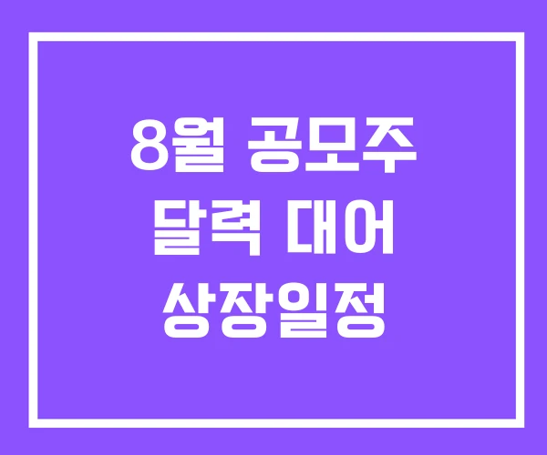 8월 공모주 달력 대어 상장일정