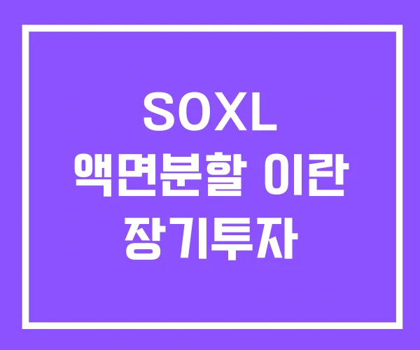 SOXL 액면분할 이란 장기투자