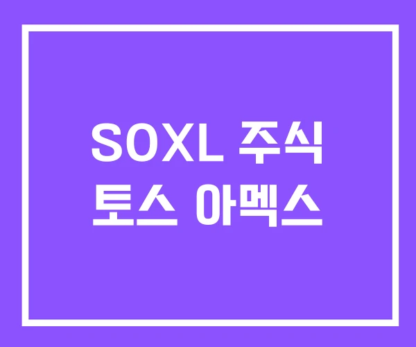 SOXL 주식 토스 아멕스