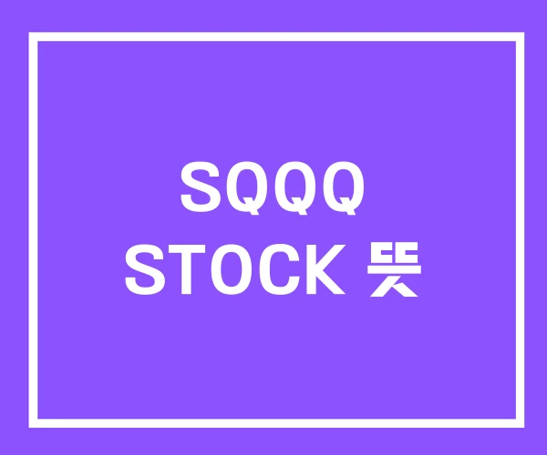 SQQQ STOCK 뜻