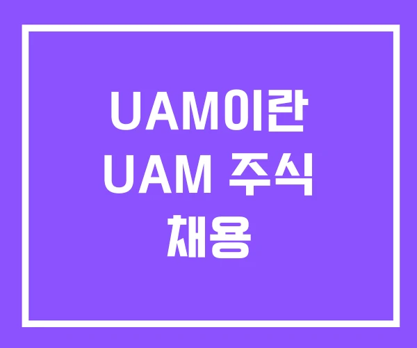 UAM이란 UAM 주식 채용 UAM이란 UAM 주식 채용