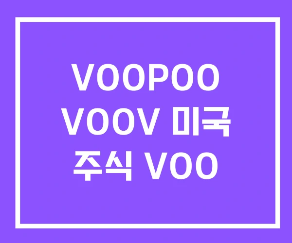 VOOPOO VOOV 미국 주식 VOO VOOPOO VOOV 미국 주식 VOO