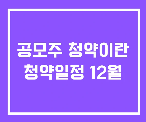 공모주 청약이란 청약일정 12월