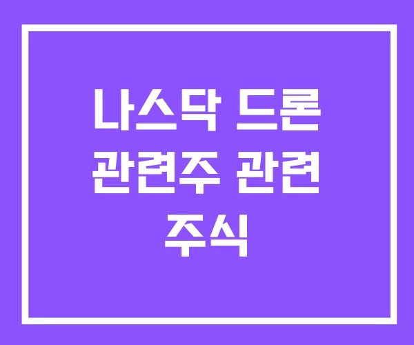 나스닥 드론 관련주 관련 주식 나스닥 드론 관련주 관련 주식